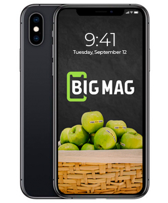 б/у iPhone XS Max 64GB Space Gray (MT502)